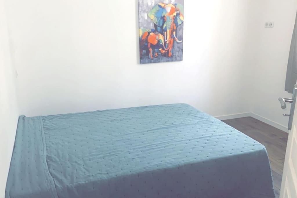 Appartement T2 Chez Thomas Et Nas Omessa Buitenkant foto
